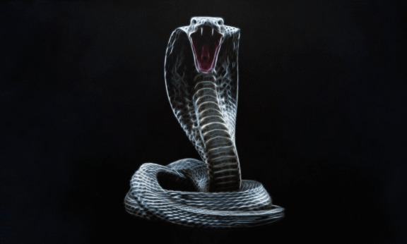 Sample 1195 - Serpentine Logo Animation