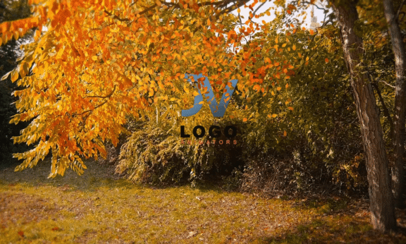 Sample 1215 - Autumn Leaves Logo Animation